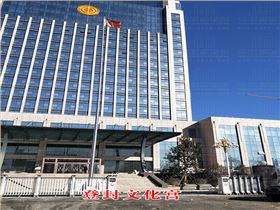登封文化宮 (鄭州金韻科技有限公司) 